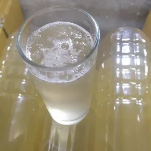 খেজুরের রস - ৫ লিটার ( Date Juice) 